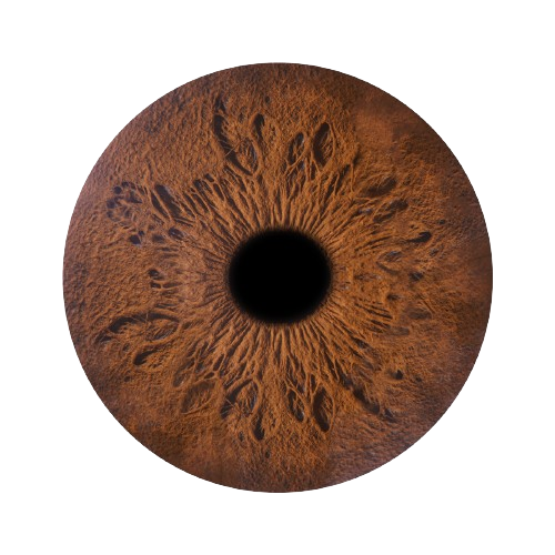 brown iris