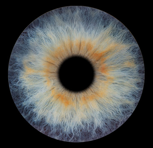 ARTiRiS | Photo d'iris | Votre oeil, votre oeuvre d'art place picture