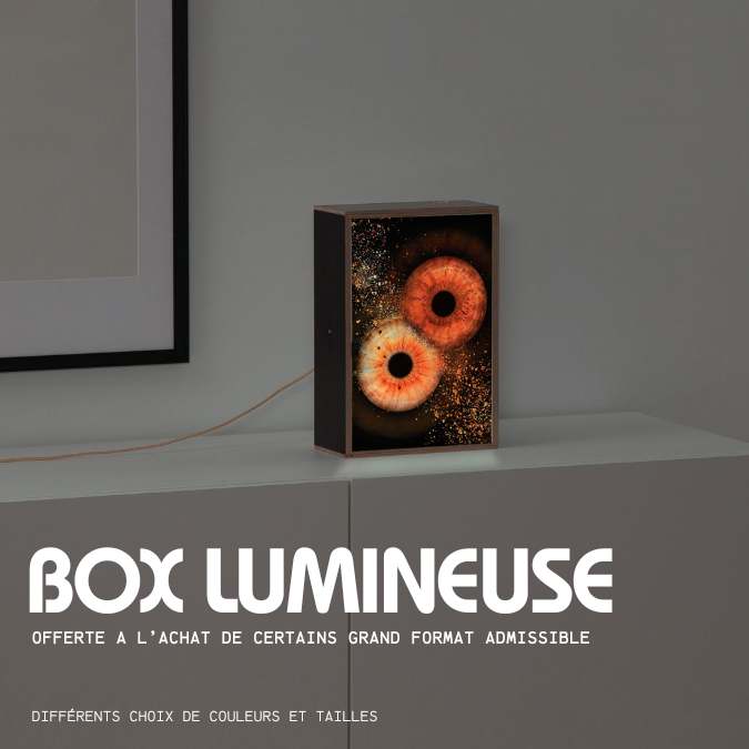 Box lumineuse Artiris
