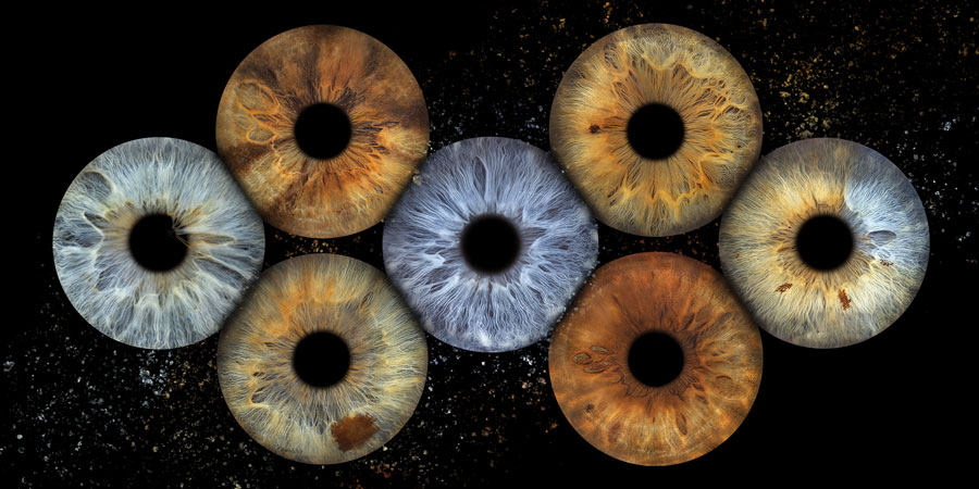 iris galerie montreal